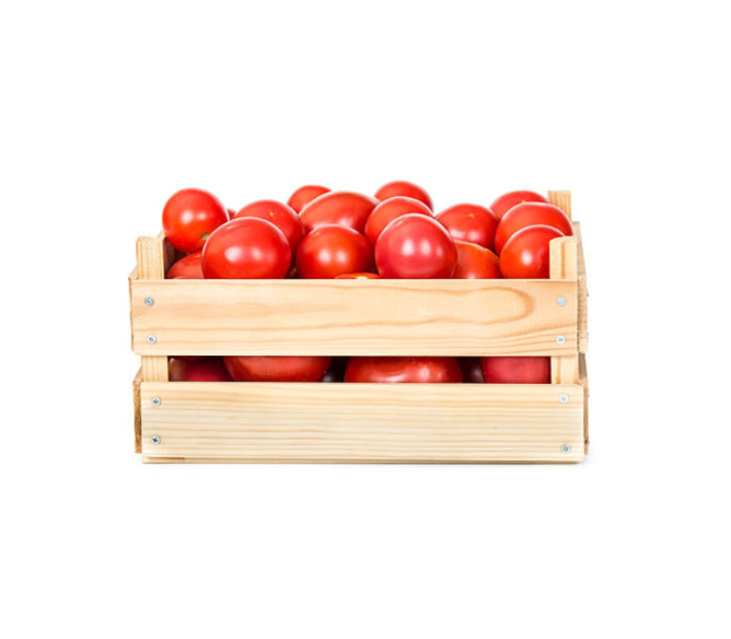 طماط عمان كرتون