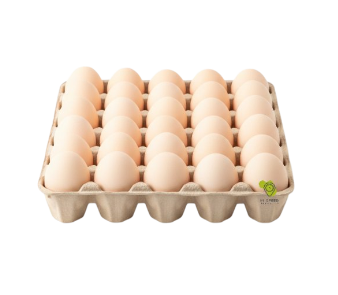 بيض صلالة شيتة