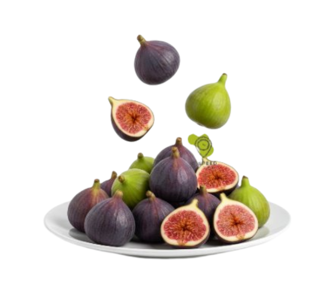 تين عماني  500ج