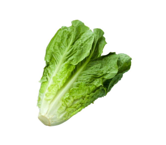خس عمان 400ج