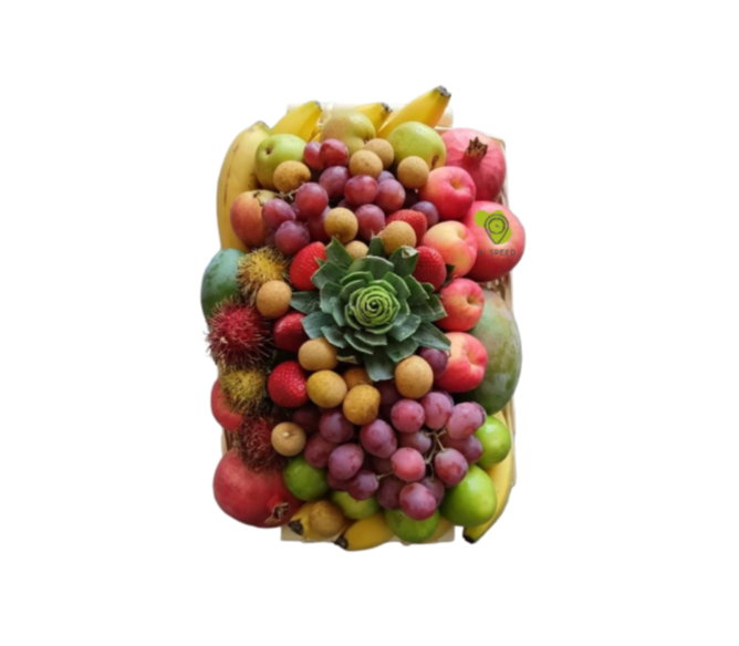 سلة فواكة صغيرة مستطيلة