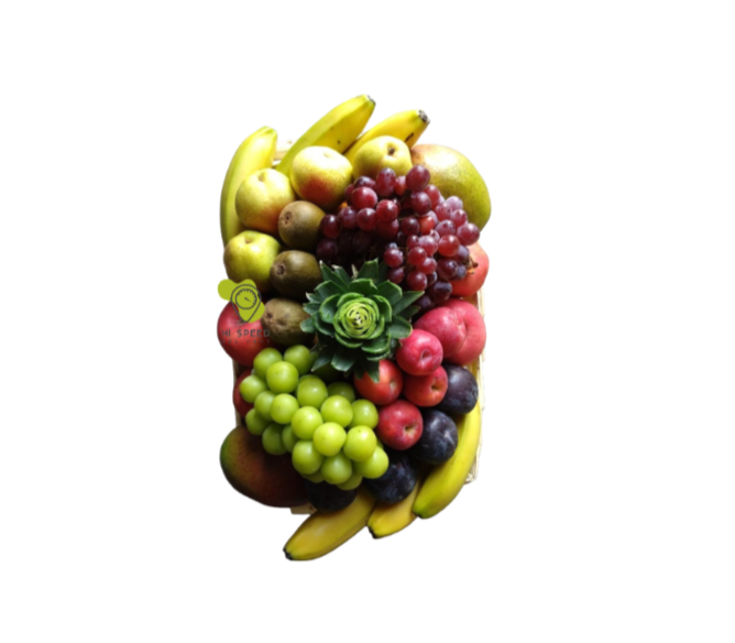 سلة فواكة صغيرة مستطيلة