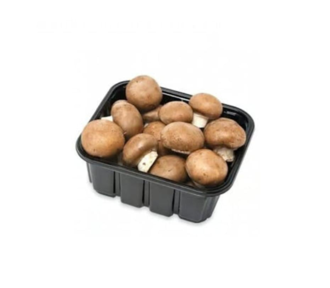 مشروم بني عمان علبة