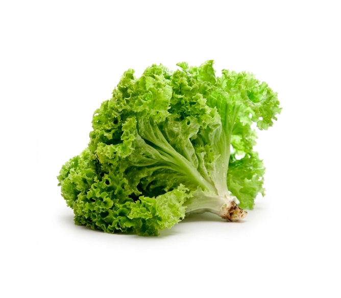 خس لولو اخضر 1حبة