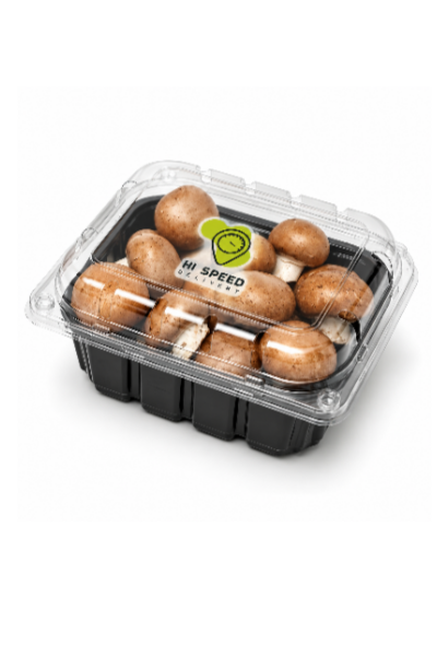 مشروم بني عمان علبة
