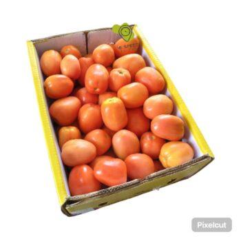 Tomato India Cartoon 6kg