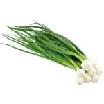 Spring Onion
