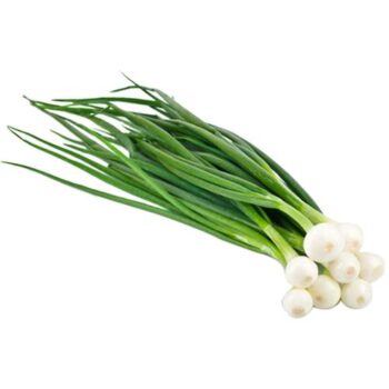 Spring onion leaves