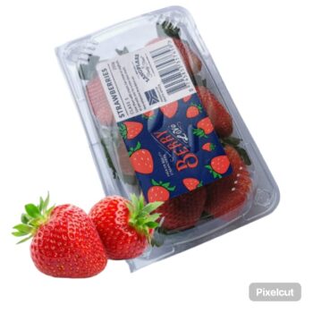 Strawberry Box South Africa