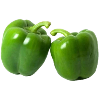 Capsicum Green Iran 500g