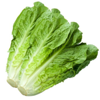 lettuce Pcs