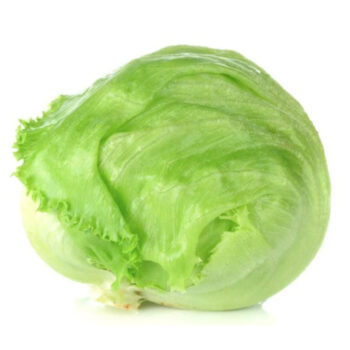 Iceberg Pcs
