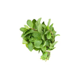 Mint leaves