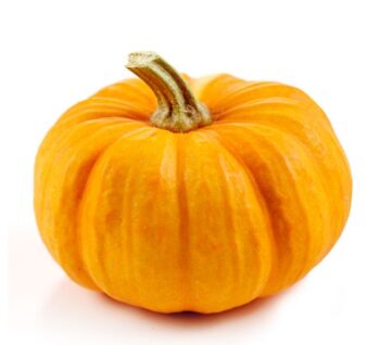 Pumpkin Iran Pcs