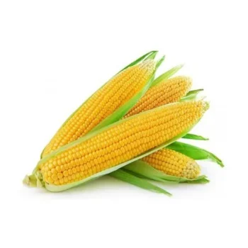 Sweet Corn Oman 1Pc