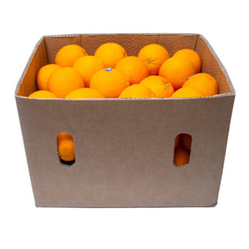 Juice Orange S/A L Box