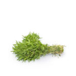 Zaatar (thyme)