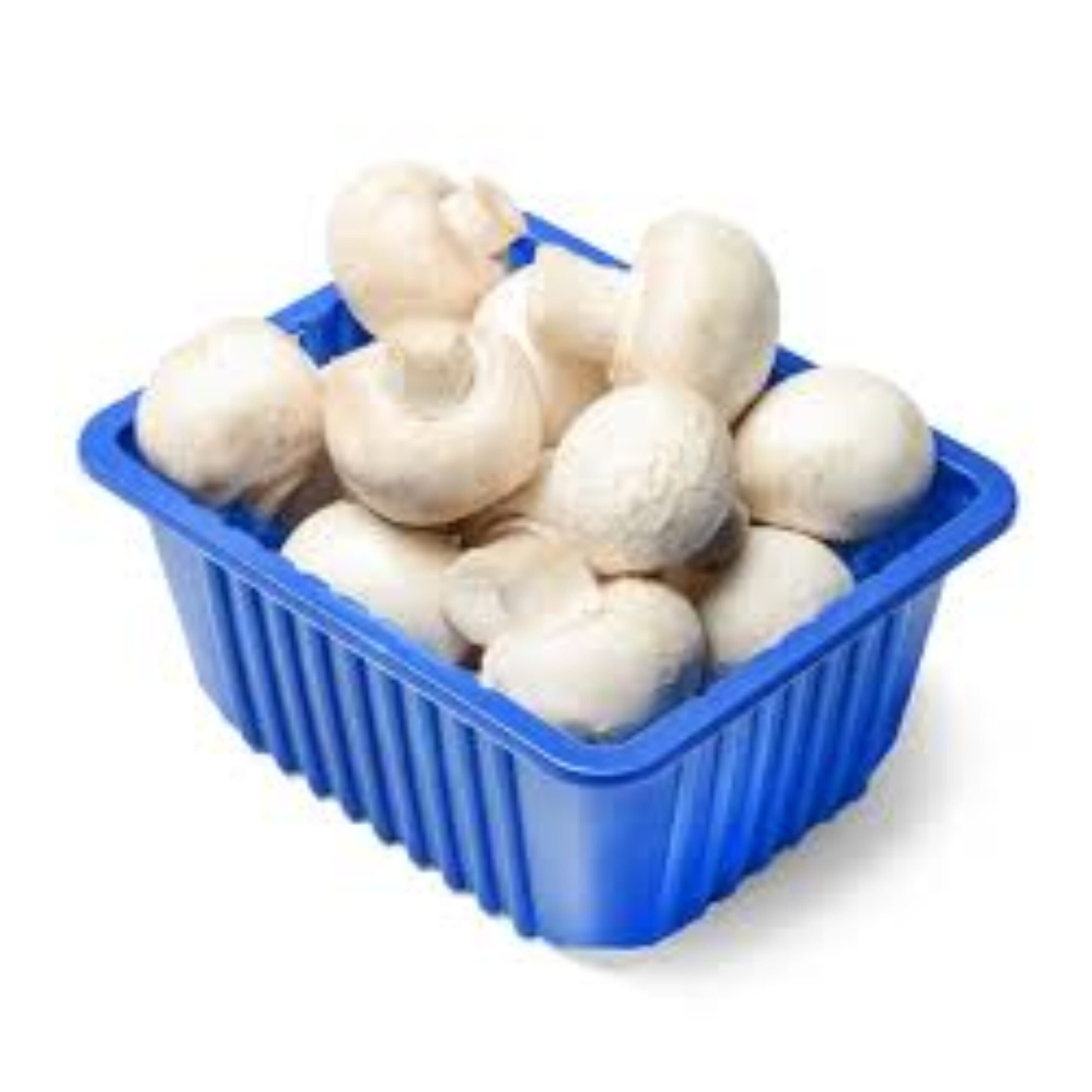 White Mushroom Oman