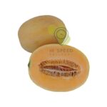 Sweet Melon Jordan pcs