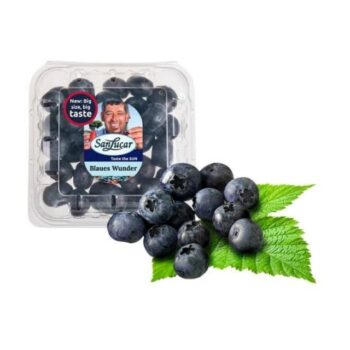 Blueberry Packet