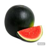 Watermelon Turkey pcs
