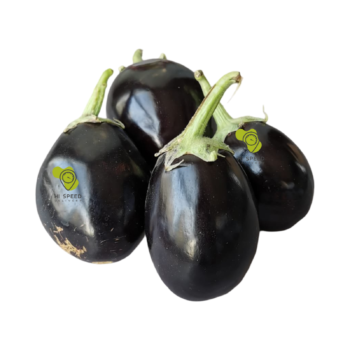 Eggplant Oman 500g