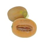 Sweet Melon Iran pcs