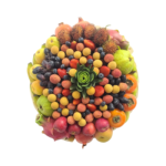 Fresh Basket