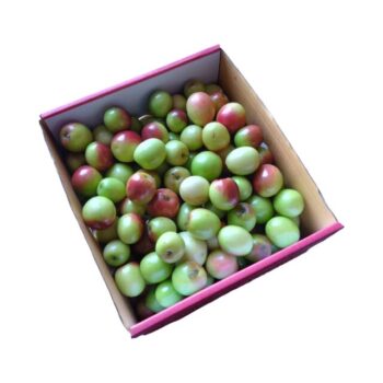 Nabaq India Box 2.5kg