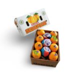 Orange Turkey 36pcs