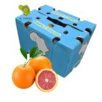 Orange Navel Red Box Large
