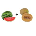 Watermelon+Sweetmelon