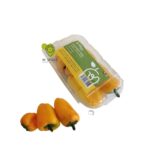 Sweet Capsicum Yellow