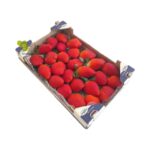 Strawberry Spain Box 1kg