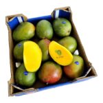 Mango south Africa Box