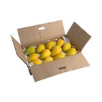 Mango Badami India Crtn