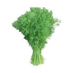Dill Leaves