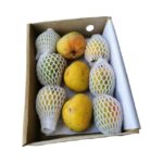 Mango AL phonso Indonesia