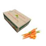 Carrot Oman Box