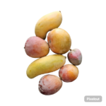 Premium Omani mixed sweet mango kg