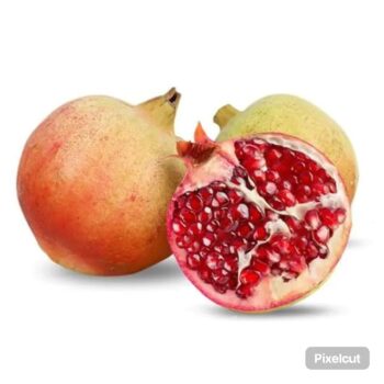Anar Yamen kg