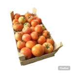 Tomato Jordan Box